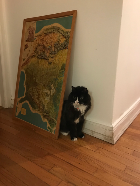Contemplating life’s rich tapestry.